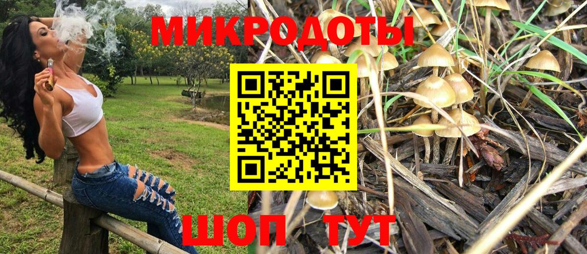 Галлюциногенные грибы MAGIC MUSHROOMS  купить   Арзамас  Вход с VPN 